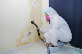 Best Crawl Space Mold Remediation in Lewisville, TX